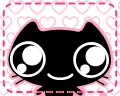 cute cat