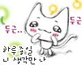 i love you cute cat