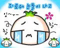 happy seed
