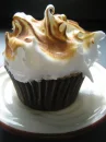 Gourmet cupcake