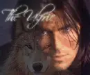 The Ulfric Anita Blake Vampire Hunter