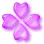 purple gem clover