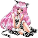 kitty