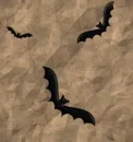 ~Bat~
