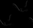 ~Bat~
