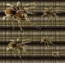 arachnaphobia