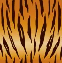 Tiger Stripes