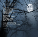 Winter Moonlight