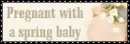 pregnant with a spring baby