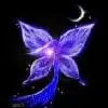 Night