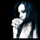 Gothic Rose