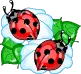 ladybirds hearts