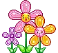 cuteflowers