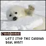 Stop seal hunt