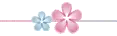 blue & pink flowers divider