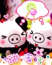too cute fluffy pig in love