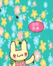 cute & happy bunny