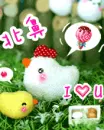 i love you : cute baby chick & chicken