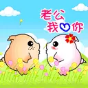 cute pig lovers kissing