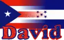 David