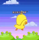 chick looking for something
