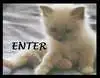 cute stuff