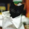 cute stuff