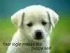 cute stuff