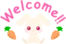 cute bunny welcome