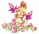 cute bunny