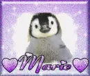 Marie