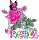 Pink Rose Hello