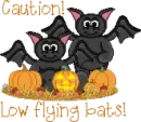 flying bats