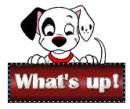 whats up 