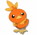 torchic