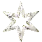 silver star