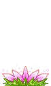 bubbles