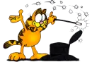 play with cat