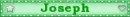 Joseph-Green Blinkie