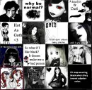 Goths