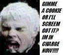 gerard wants a cookie