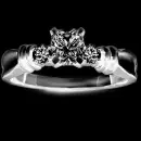 ring 1
