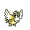 Animated Pidgey