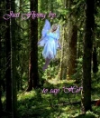 flying forest fairy saying hi