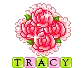 Tracy