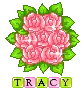 Tracy