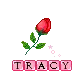 Tracy