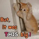 but it was this big
