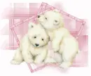so so cute