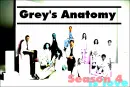Grey's Anatomy is Love